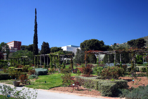 Guia de áudio de Barcelona: explore o Parc Cervantes