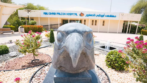 Guia de áudio de Abu Dhabi: explore o Abu Dhabi Falcon Hospital