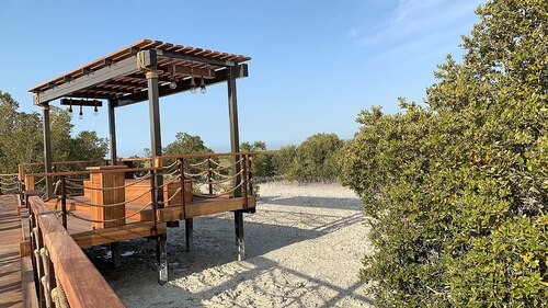 Abu Dhabi Audio guide: Explore Mangrove National Park