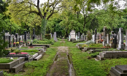 Vienna Audio guide: Explore Central Cemetery