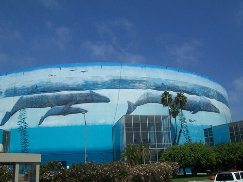 Los Angeles Audio guide: Explore Aquarium of the Pacific