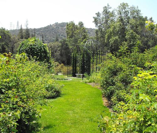 Los Angeles Audio guide: Explore Descanso Gardens