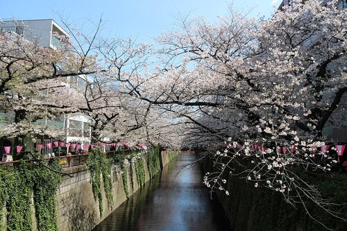 Guia de áudio de Tóquio: explore Nakameguro