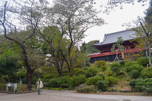 Audioguide de Tokyo : explorez le parc d'Ueno