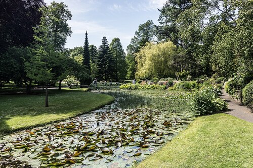 Dublin Audio guide: Explore National Botanic Gardens