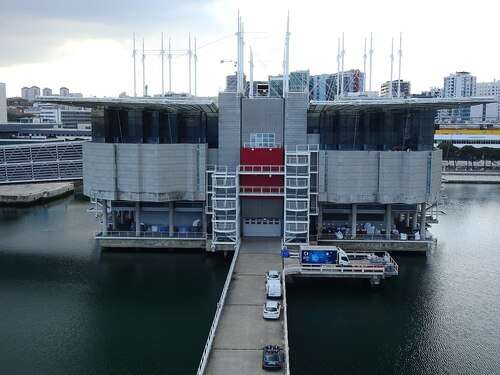 Audioguía de Lisboa: Explora el Oceanario de Lisboa