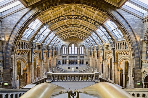 London Audio guide: Explore The Natural History Museum