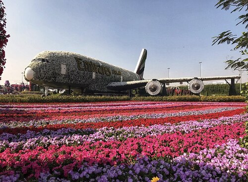 Dubai Audio guide: Explore Dubai Miracle Garden