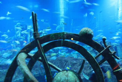 Dubai Audio guide: Explore The Lost Chambers (Aquarium)