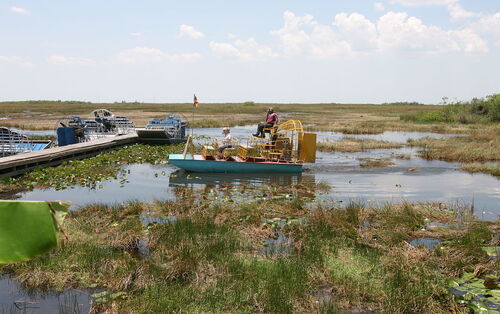 Audioguida di Miami: esplora il Parco nazionale delle Everglades