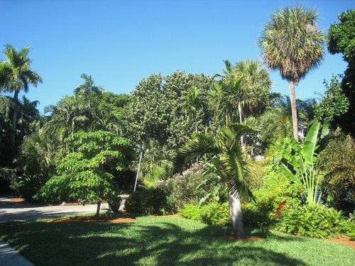 Guia de áudio de Miami: explore o Jardim Botânico de Miami Beach