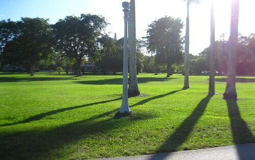 Audioguida di Miami: esplora Coral Gables