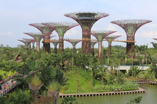 Singapore Audio guide: Explore Gardens by the Bay