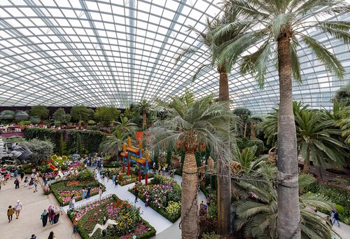 Singapore Audio guide: Explore Flower Dome