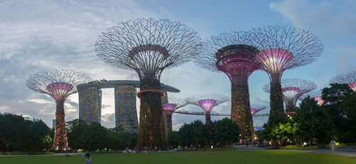 Singapore Audio guide: Explore Supertree Grove