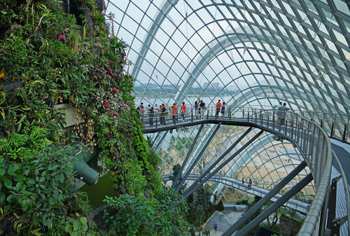 Singapore Audio guide: Explore Cloud Forest