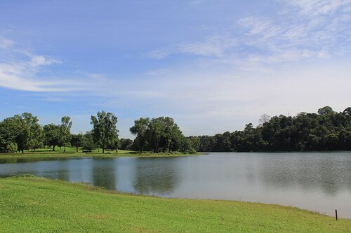 Singapore Audio guide: Explore MacRitchie Reservoir