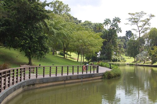 Singapore Audio guide: Explore Singapore Botanic Gardens