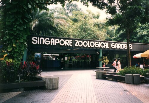 Singapore Audio guide: Explore Singapore Zoo