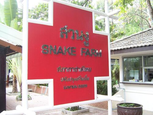 Bangkok Audio guide: Explore Snake Farm