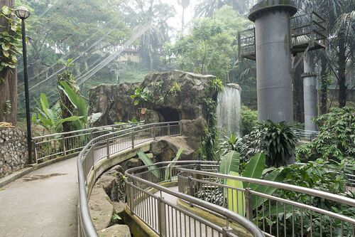 Kuala Lumpur Audio guide: Explore Kuala Lumpur Bird Park