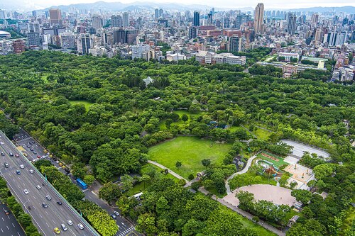 Audioguía de Taipei: explora el parque forestal de Daan