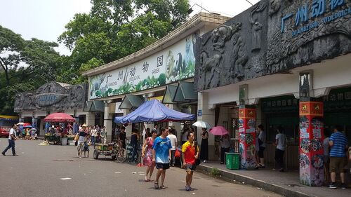 Guangzhou Audio guide: Explore Guangzhou Zoo