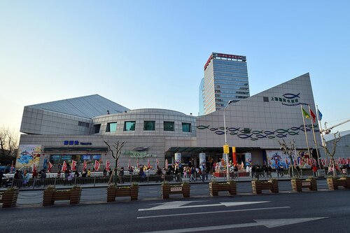 Shanghai Audio guide: Explore Shanghai Ocean Aquarium