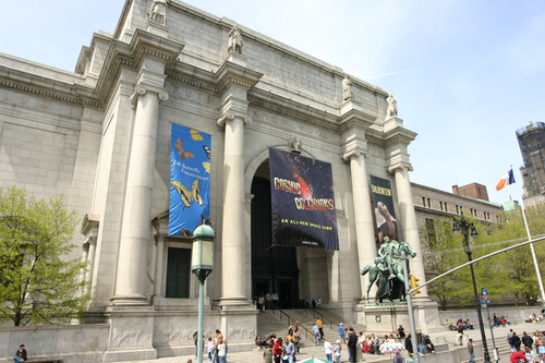 Audioguida di New York: esplora il Museo Americano di Storia Naturale