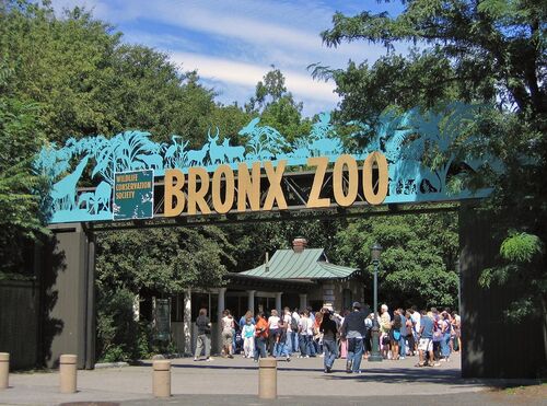 New York Audio guide: Explore Bronx Zoo