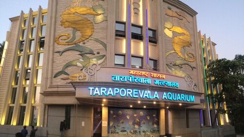 Audioguide de Mumbai : explorez l'aquarium de Taraporewala