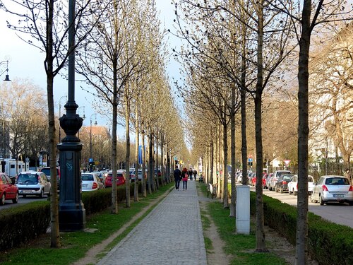 Budapest Audio guide: Explore Andrassy Avenue