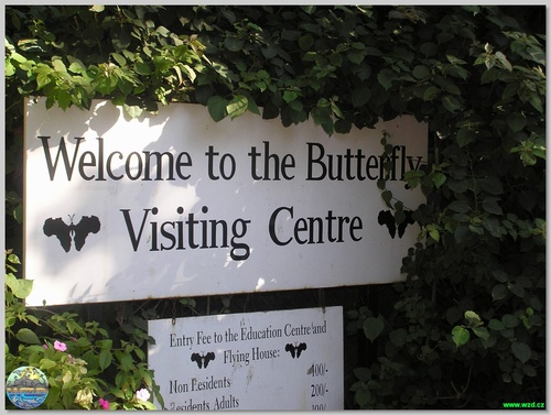 Nairobi Audio guide: Explore Nairobi Butterfly Centre