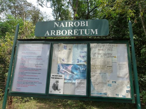 Audioguía de Nairobi: Explora el Arboreto de Nairobi