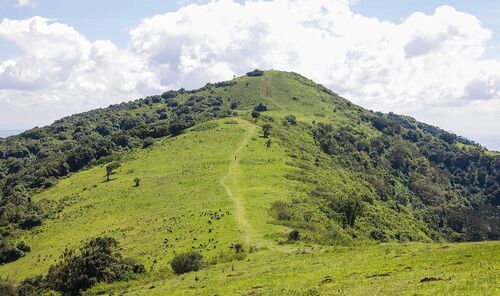 Nairobi Audio guide: Explore Ngong Hills