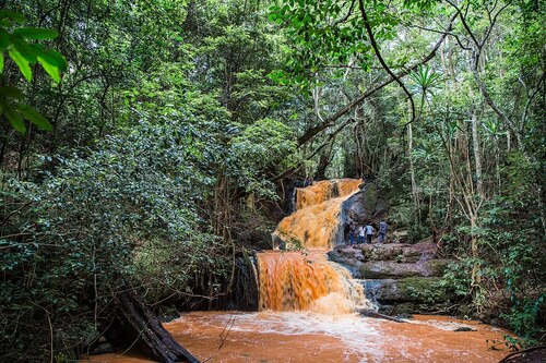 Nairobi Audio guide: Explore Karura Forest