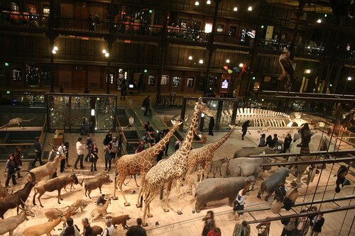 Paris Audio guide: Explore Muséum national d'Histoire naturelle