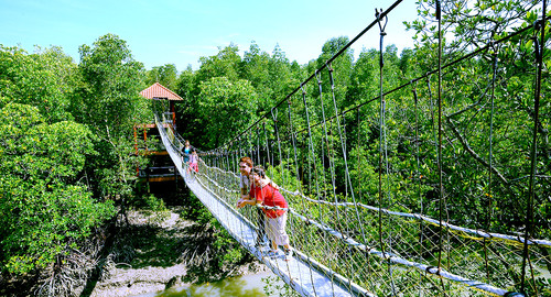 Johor Bahru Audio guide: Explore Pulau Kukup National Park