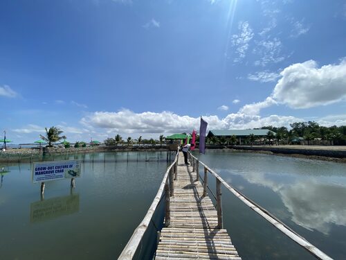 Bali Audio guide: Explore Mangrove Information Center