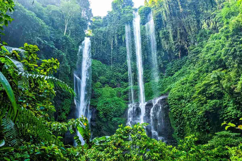 Bali Audio guide: Explore Sekumpul Waterfall