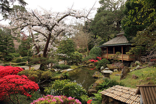 Audioguide de San Francisco : Explorez le jardin de thé japonais