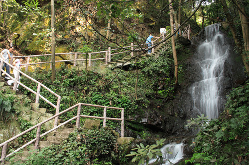 Audioguida di Hangzhou: esplora il villaggio del tè a Longjing