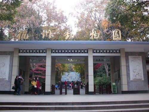 Audioguida di Hangzhou: esplora lo zoo di Hangzhou