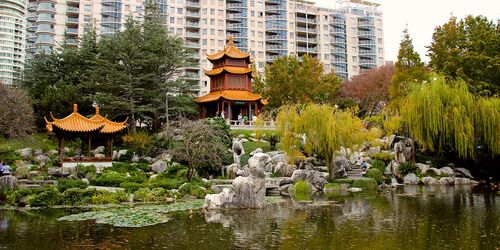 Audioguía de Sídney: Explora el Jardín Chino de la Amistad