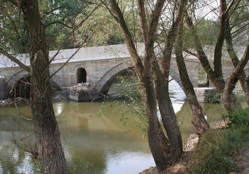 Audioguida Edirne: esplora la passeggiata sul fiume Tunca