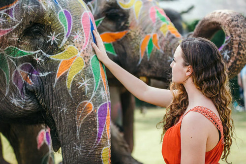 Jaipur Audio guide: Explore Elefantastic Elephant Farm