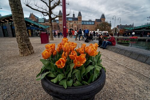 Amsterdam Audio guide: Explore Museumplein