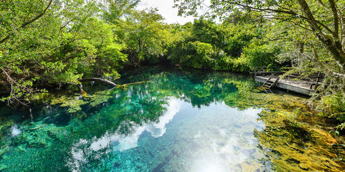 Punta Cana Audio guide: Explore Indigenous Eyes Ecological Park