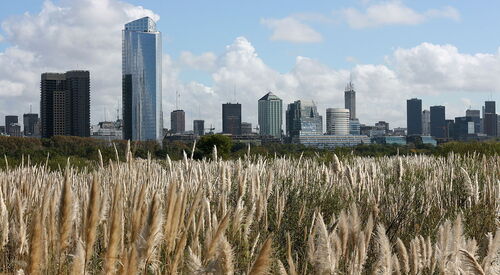 Buenos Aires Audio guide: Explore Buenos Aires Ecological Reserve