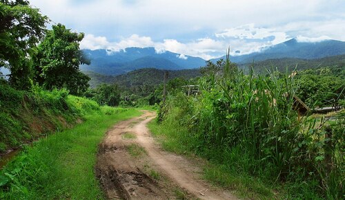 Audioguía de Chiang Mai: explora el parque nacional Doi Suthep-Pui